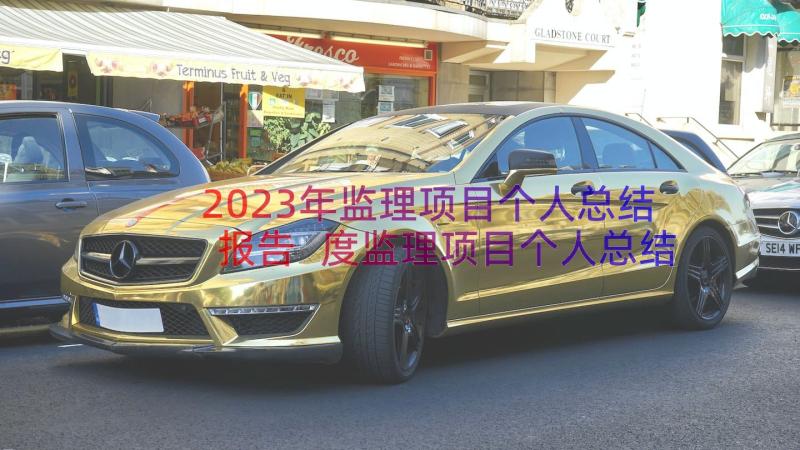 2023年监理项目个人总结报告 度监理项目个人总结(模板8篇)