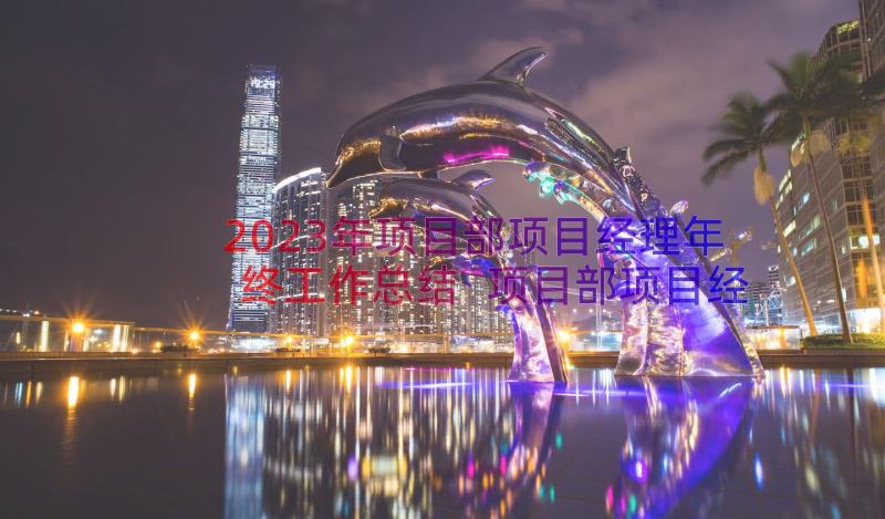 2023年项目部项目经理年终工作总结 项目部项目经理的年终总结(通用8篇)