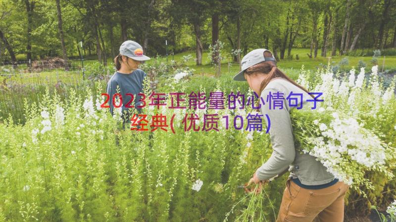 2023年正能量的心情句子经典(优质10篇)