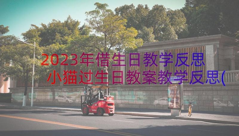 2023年借生日教学反思 小猫过生日教案教学反思(汇总8篇)