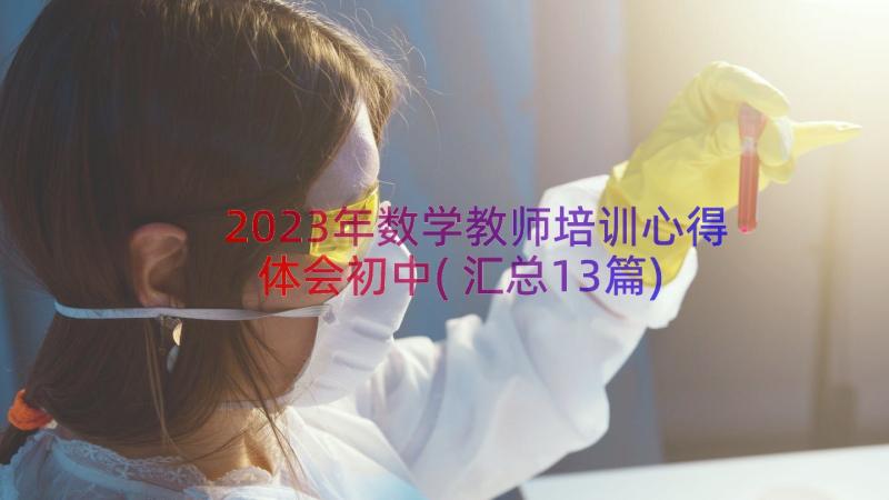 2023年数学教师培训心得体会初中(汇总13篇)