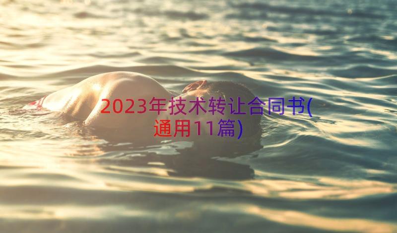 2023年技术转让合同书(通用11篇)