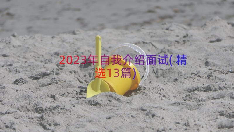 2023年自我介绍面试(精选13篇)