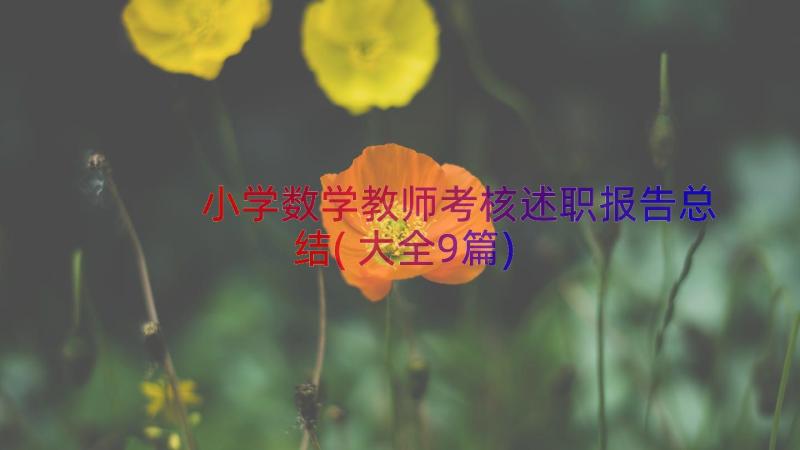 小学数学教师考核述职报告总结(大全9篇)