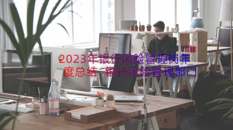 2023年银行风险管理岗年度总结 银行风险管理部门年度工作总结(模板7篇)