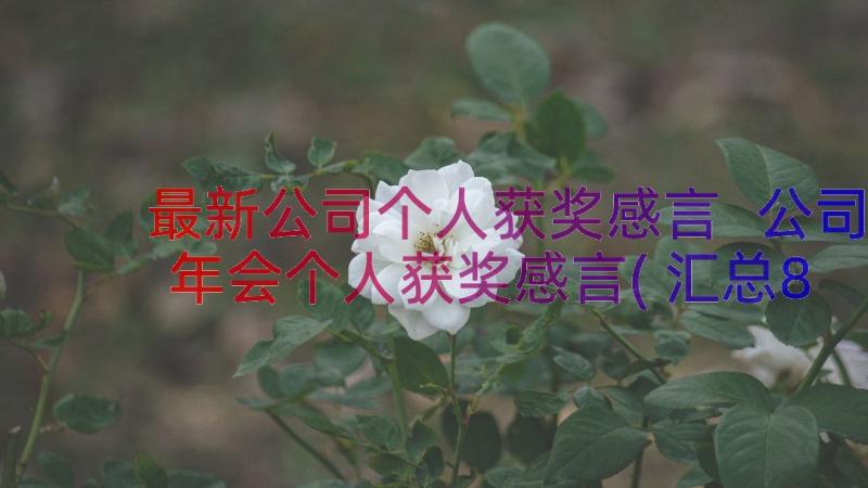 最新公司个人获奖感言 公司年会个人获奖感言(汇总8篇)