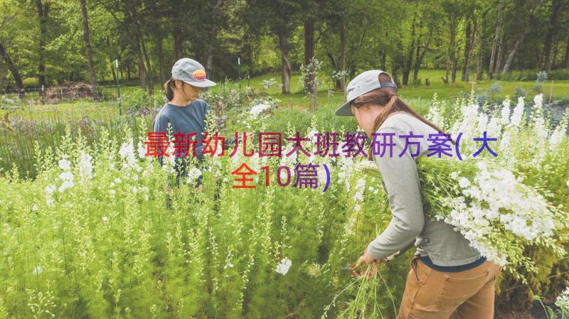 最新幼儿园大班教研方案(大全10篇)