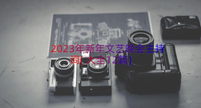 2023年新年文艺晚会主持词(大全12篇)