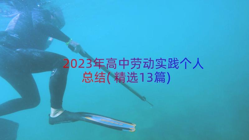 2023年高中劳动实践个人总结(精选13篇)