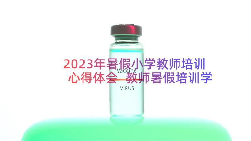 2023年暑假小学教师培训心得体会 教师暑假培训学习心得体会(通用20篇)