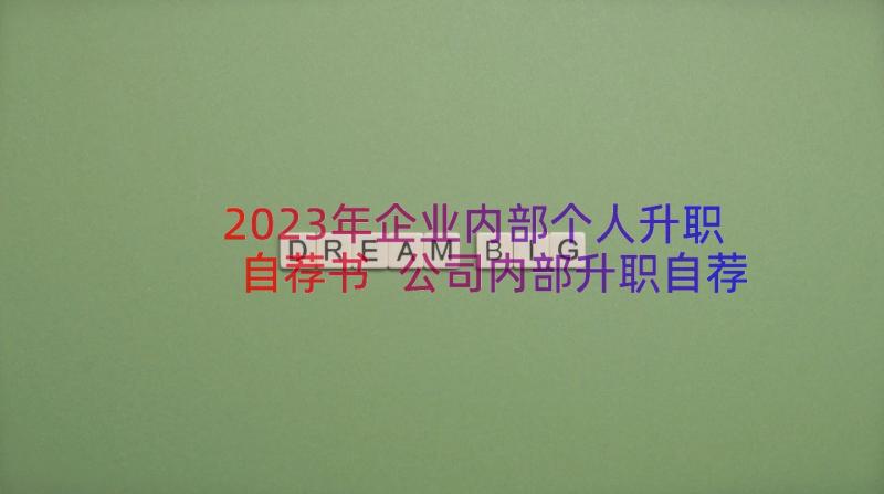 2023年企业内部个人升职自荐书 公司内部升职自荐信(通用8篇)