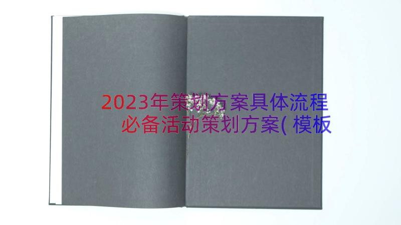 2023年策划方案具体流程 必备活动策划方案(模板9篇)