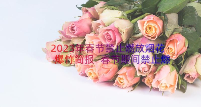 2023年春节禁止燃放烟花爆竹简报 春节期间禁止燃放烟花爆竹倡议书(大全10篇)