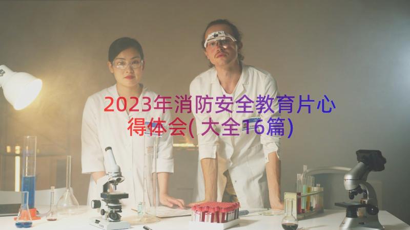 2023年消防安全教育片心得体会(大全16篇)