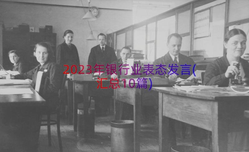 2023年银行业表态发言(汇总10篇)