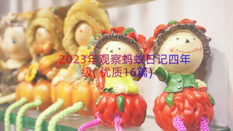 2023年观察蚂蚁日记四年级(优质16篇)