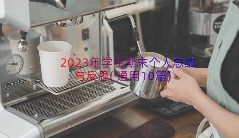 2023年学生期末个人总结与反思(通用10篇)