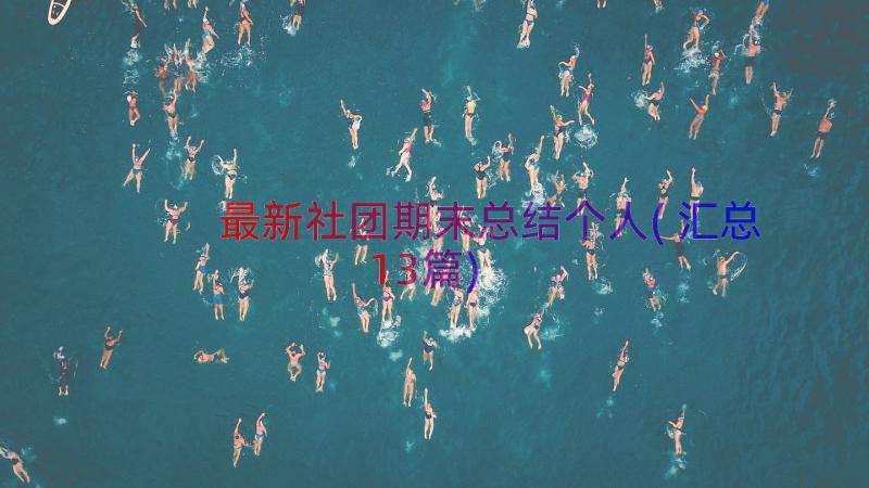 最新社团期末总结个人(汇总13篇)