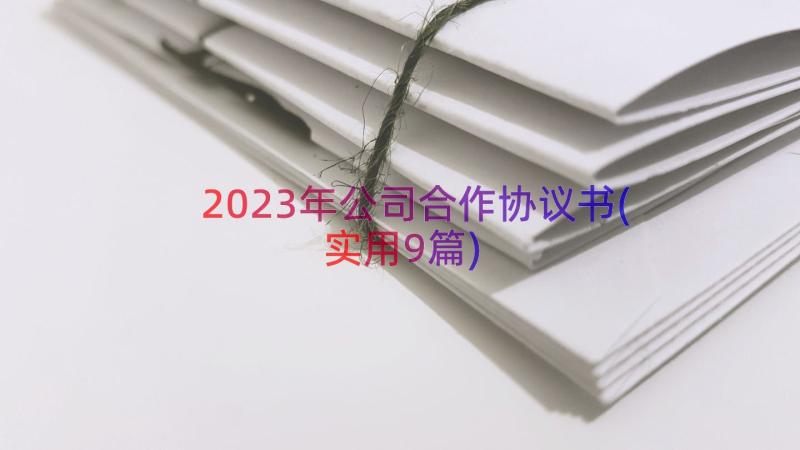 2023年公司合作协议书(实用9篇)