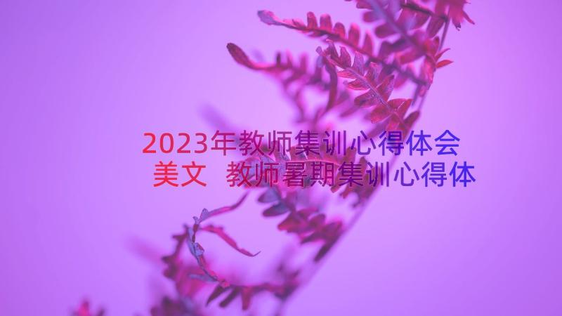 2023年教师集训心得体会美文 教师暑期集训心得体会(精选8篇)