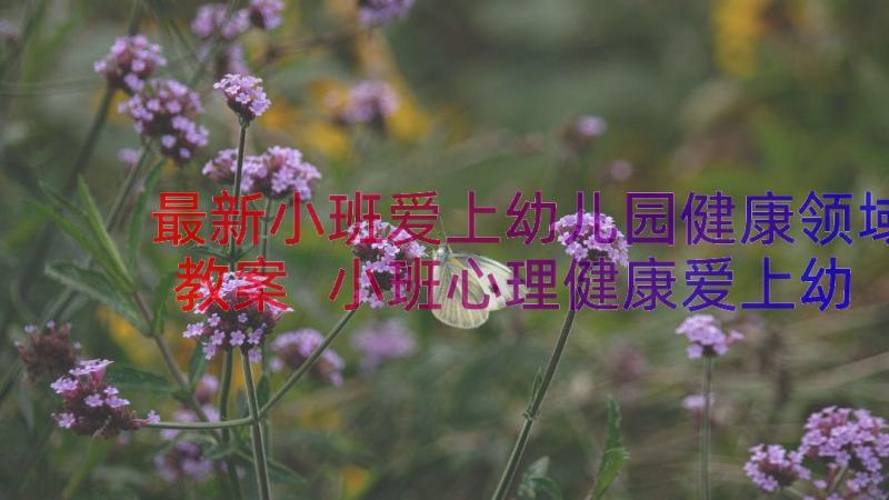 最新小班爱上幼儿园健康领域教案 小班心理健康爱上幼儿园教案(汇总17篇)