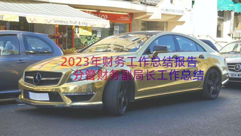 2023年财务工作总结报告 分管财务副局长工作总结实用(通用12篇)