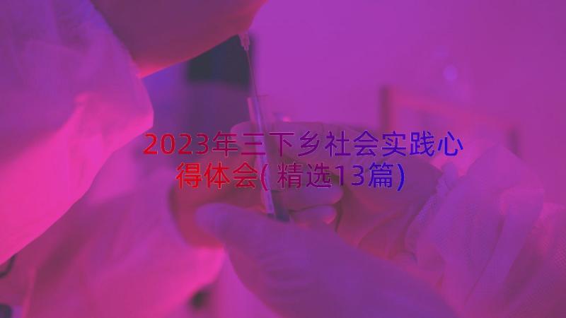 2023年三下乡社会实践心得体会(精选13篇)