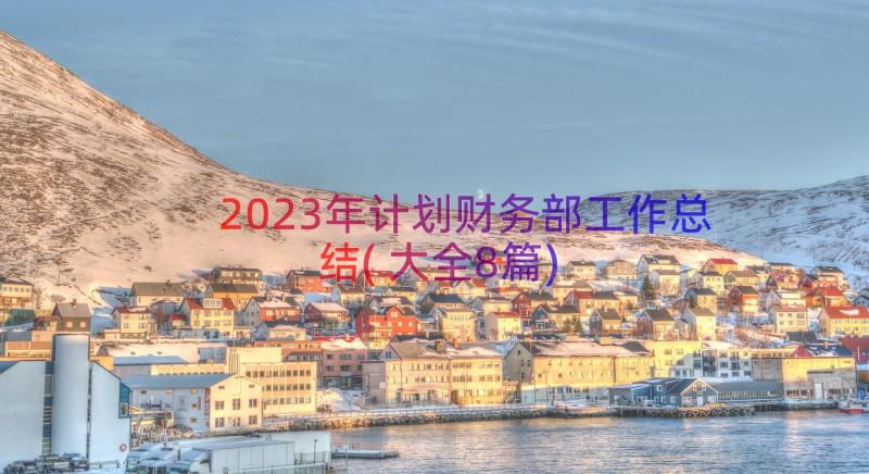 2023年计划财务部工作总结(大全8篇)