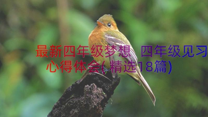 最新四年级梦想 四年级见习心得体会(精选18篇)