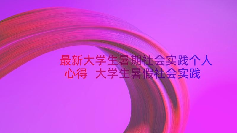 最新大学生暑期社会实践个人心得 大学生暑假社会实践心得(汇总10篇)