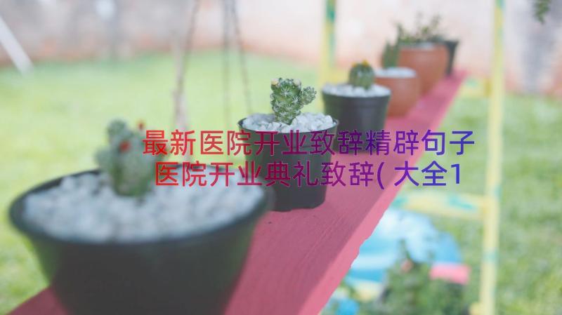 最新医院开业致辞精辟句子 医院开业典礼致辞(大全13篇)