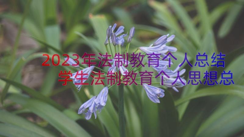 2023年法制教育个人总结 学生法制教育个人思想总结(实用8篇)