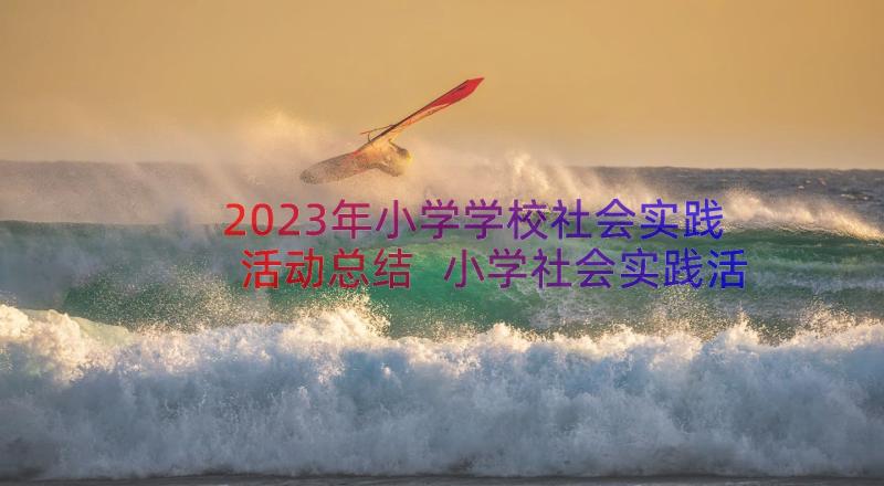 2023年小学学校社会实践活动总结 小学社会实践活动总结(通用11篇)