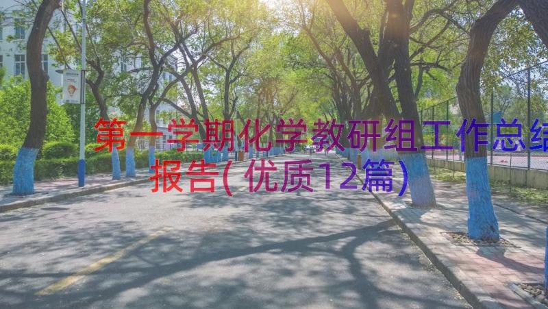 第一学期化学教研组工作总结报告(优质12篇)