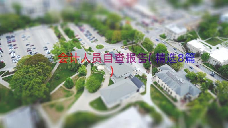 会计人员自查报告(精选8篇)