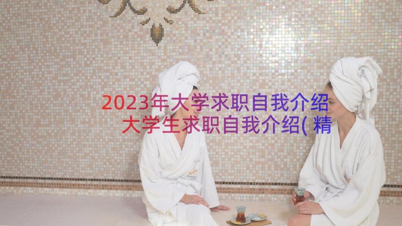 2023年大学求职自我介绍 大学生求职自我介绍(精选12篇)