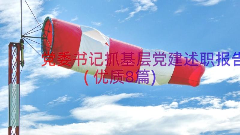 党委书记抓基层党建述职报告(优质8篇)