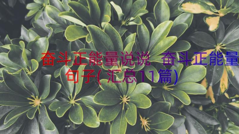 奋斗正能量说说 奋斗正能量句子(汇总11篇)