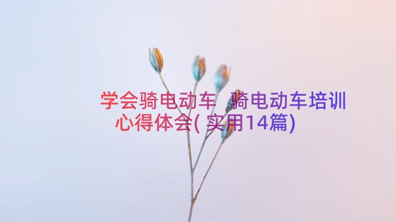 学会骑电动车 骑电动车培训心得体会(实用14篇)