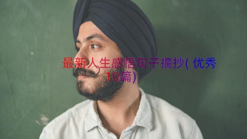 最新人生感悟句子摘抄(优秀10篇)