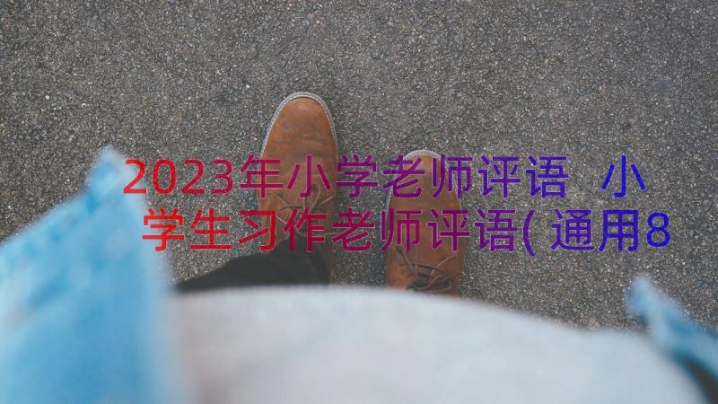 2023年小学老师评语 小学生习作老师评语(通用8篇)