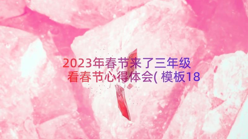 2023年春节来了三年级 看春节心得体会(模板18篇)
