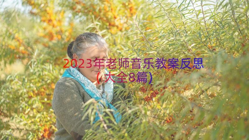 2023年老师音乐教案反思(大全8篇)