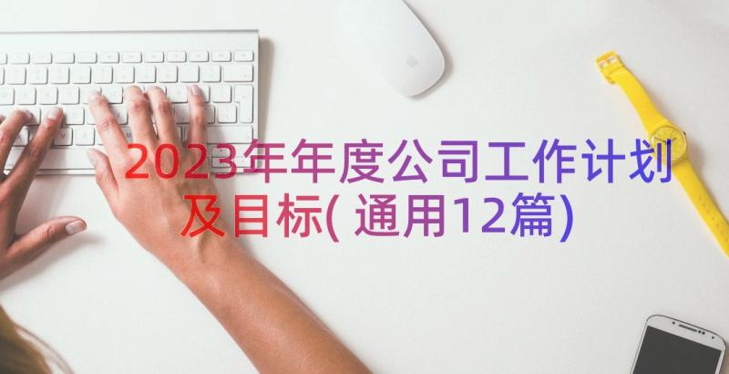 2023年年度公司工作计划及目标(通用12篇)