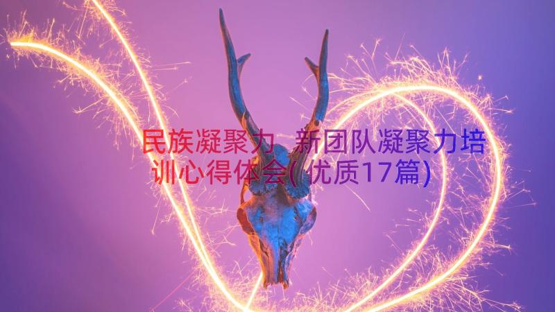 民族凝聚力 新团队凝聚力培训心得体会(优质17篇)