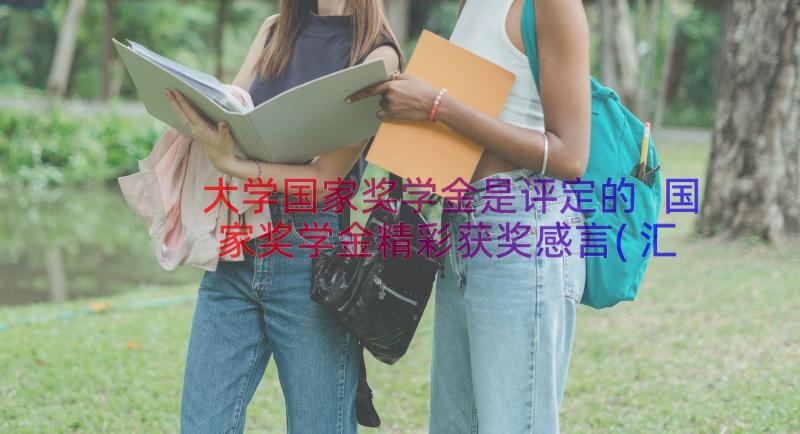 大学国家奖学金是评定的 国家奖学金精彩获奖感言(汇总7篇)