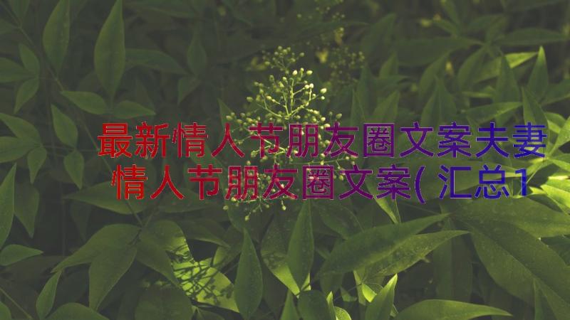 最新情人节朋友圈文案夫妻 情人节朋友圈文案(汇总18篇)