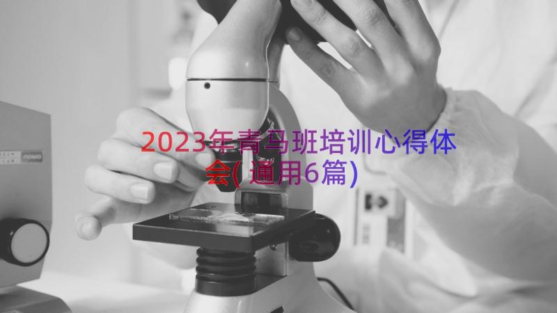 2023年青马班培训心得体会(通用6篇)