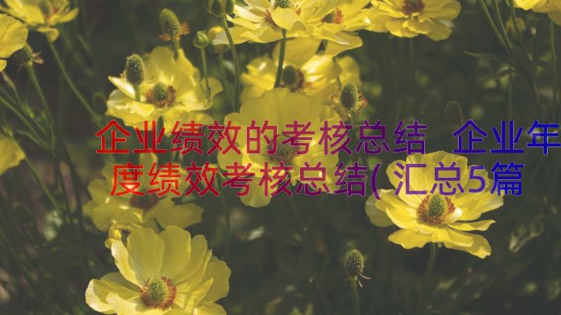 企业绩效的考核总结 企业年度绩效考核总结(汇总5篇)