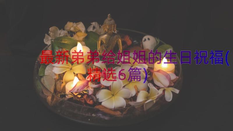 最新弟弟给姐姐的生日祝福(精选6篇)